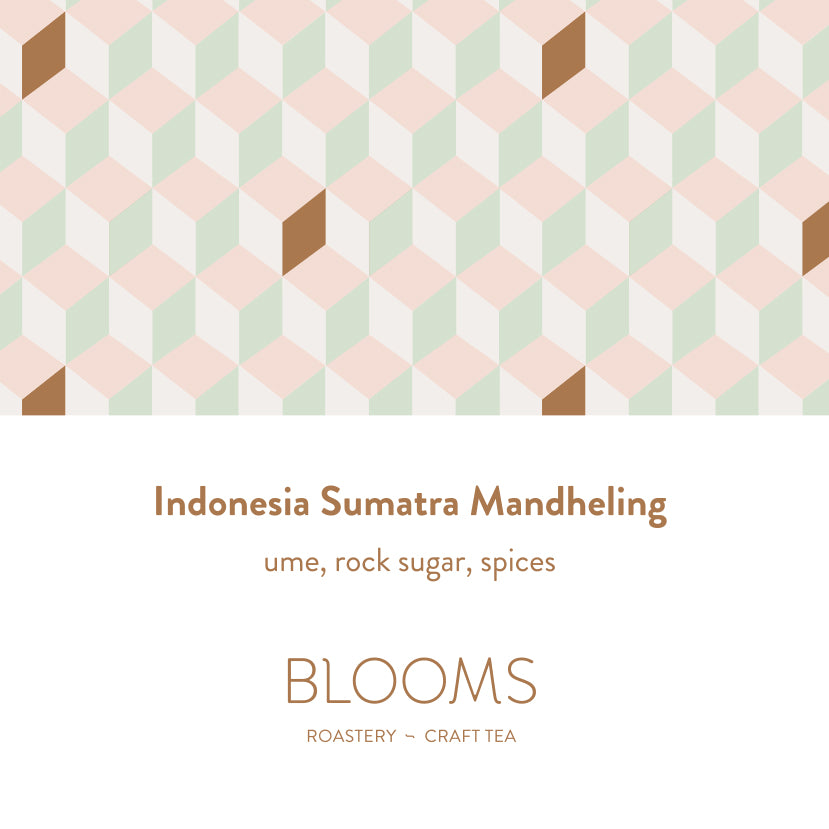 Indonesia Sumatra Mandheling