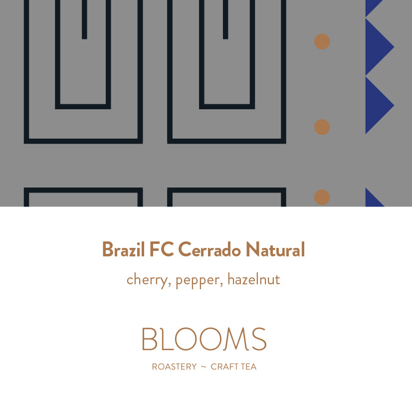 Brazil FC Cerrado Natural