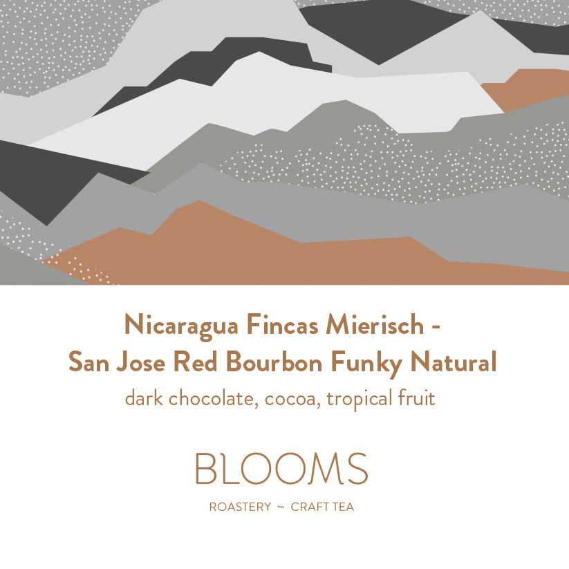 Nicaragua Fincas Mierisch - San Jose Red Bourbon Funky Natural