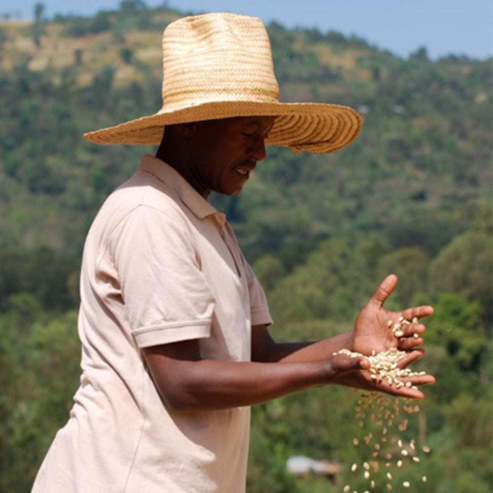 Ethiopia Yirgacheffe