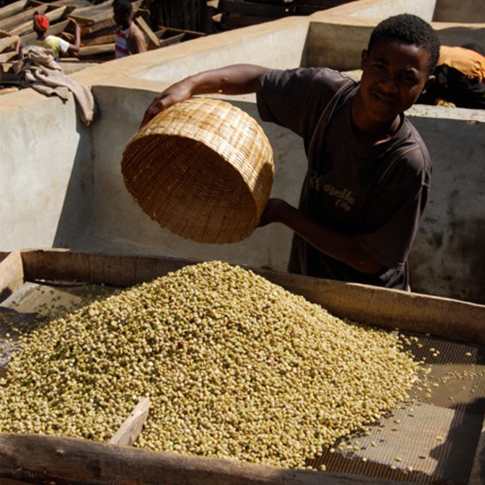 Ethiopia Yirgacheffe